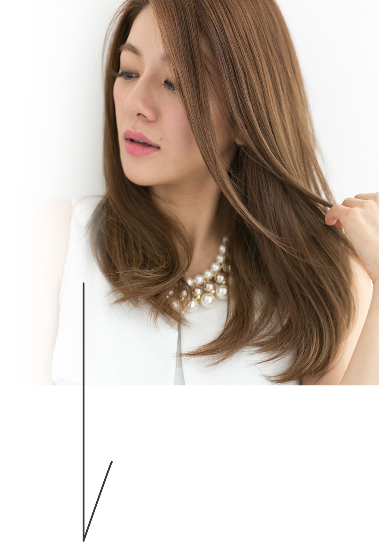 case1 上品・洗練