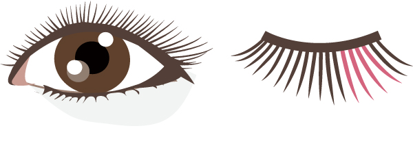 アイラッシュイメージ