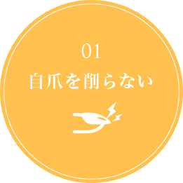 01自爪を削らない